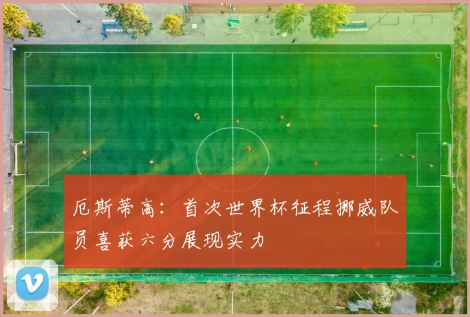 厄斯蒂高：首次世界杯征程挪威队员喜获六分展现实力