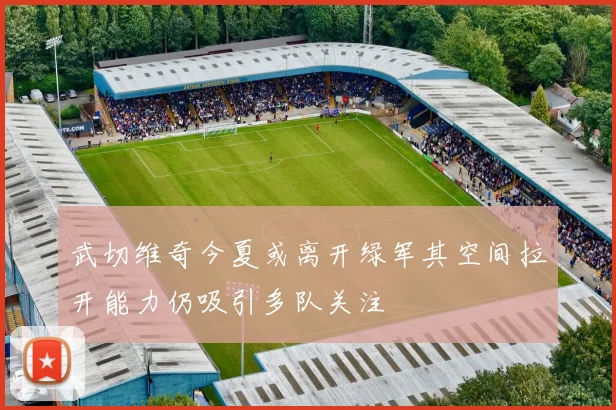 武切维奇今夏或离开绿军其空间拉开能力仍吸引多队关注